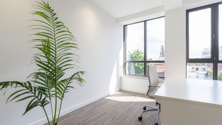 Window cleaning cost Saskatoon for residential and commercial properties